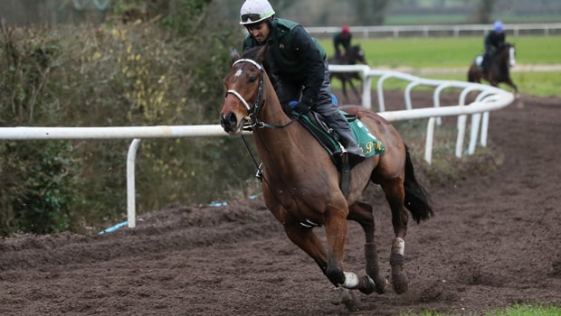 Kèo đua ngựa Dafabet: Đặt cược vào Willie Mullins