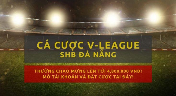 v-league-clb-da-nang-mua-giai-2019-lich-thi-dau-ket-qua
