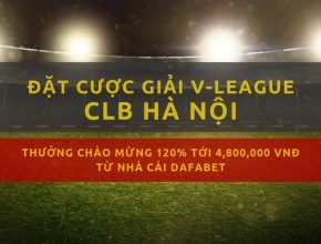 Vleague 2019 - clb ha noi