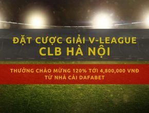 Vleague 2019 - clb ha noi