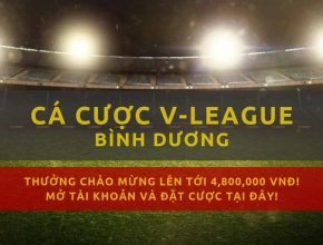 v-league-clb-binh-duong-mua-giai-2019-lich-thi-dau-ket-qua