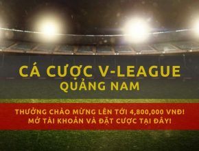 v-league-clb-quang-nam-mua-giai-2019-lich-thi-dau-ket-qua