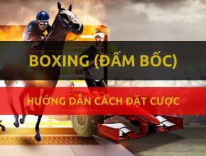 dafabet-huong-dan-dat-cuoc-dam-boc-ca-cuoc-boxing