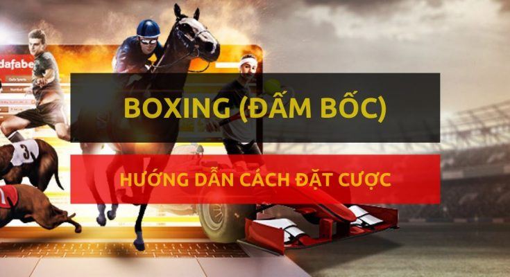 dafabet-huong-dan-dat-cuoc-dam-boc-ca-cuoc-boxing