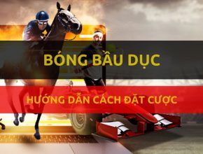 dafabet-huong-dan-dat-cuoc-mon-bong-bau-duc-my