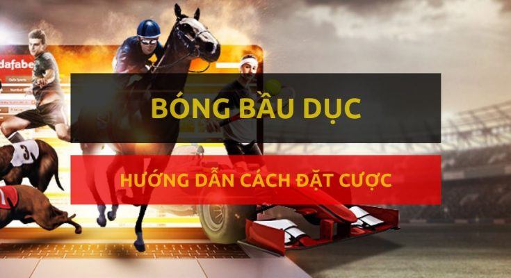 dafabet-huong-dan-dat-cuoc-mon-bong-bau-duc-my