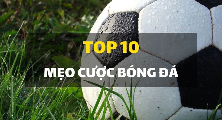 10 mẹo cược bạn cần biết