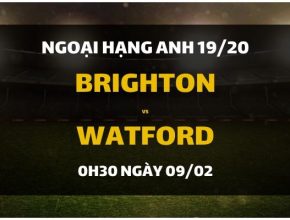 dafabet-goi-y-dat-cuoc-brighton-vs-watford-9-2