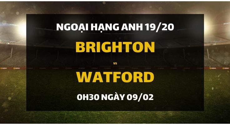 dafabet-goi-y-dat-cuoc-brighton-vs-watford-9-2